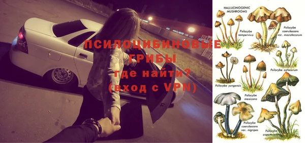2c-b Зеленодольск