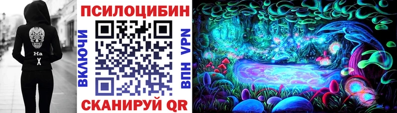 Купить  Лихославль  Псилоцибиновые грибы Cubensis 