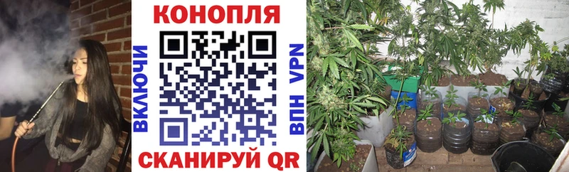 Купить где  Лихославль  Марихуана THC 21% 